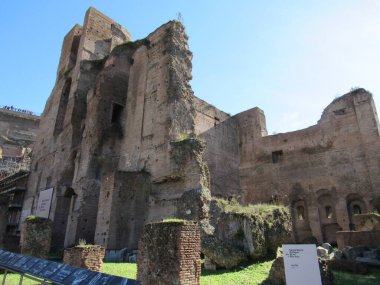 Roma Forumu, Antik Roma 'nın tüm ticaret merkezlerinin toplandığı ve vatandaşların iş, politika, hukuk, ekonomi ve din hakkında konuşmak için toplandığı yerdi. Roma, İtalya.
