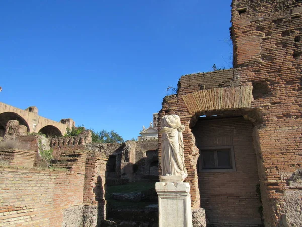 Forum Romain Qui Était Endroit Tout Centre Commercial Rome Antique — Photo