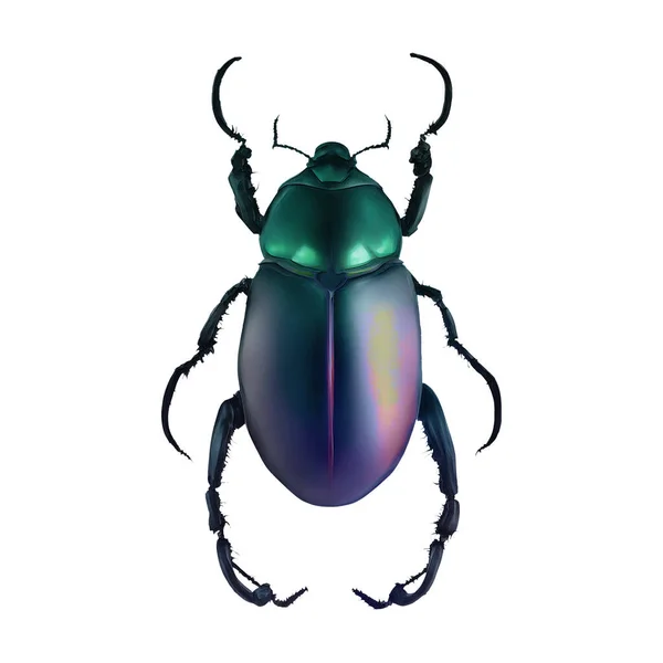 Chromacoat Beetle Insect Arthropod Digital Art Winters860 — 스톡 사진