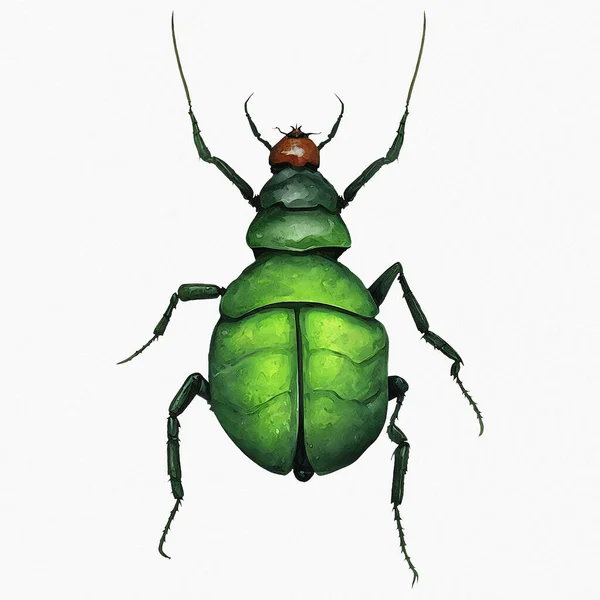 明绿圆胖甲虫节肢动物冬季数码艺术860 — 图库照片