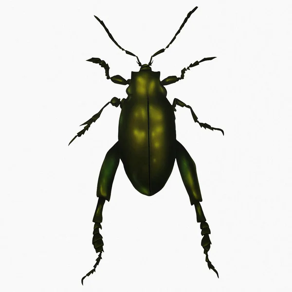 Dark Green Beetle Insect Arthropod Digital Art Winters860 — 스톡 사진