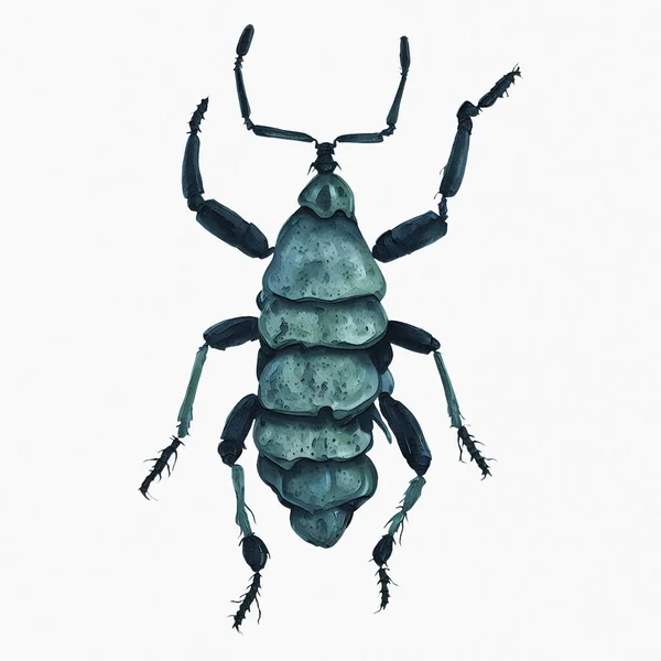 Ljusblå Skalbagge Insekt Arthropod Digital Konst Winters860 — Stockfoto