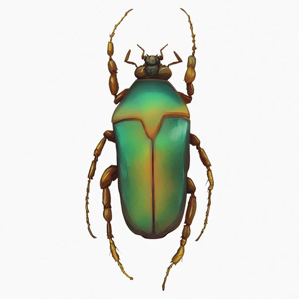 冬季绿色橙色甲虫昆虫节肢动物数字艺术860 — 图库照片