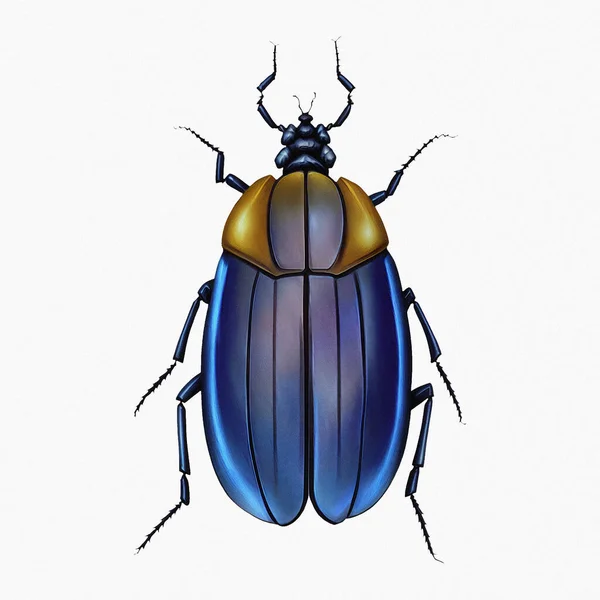 Navy Blue Beetle Insect Arthropod Digital Art Winters860 — 스톡 사진