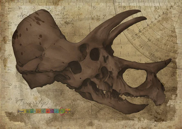 Triceratops Dinosaur Skull Art Study Old Textured Paper Vintage Geometrical — Stock Photo, Image