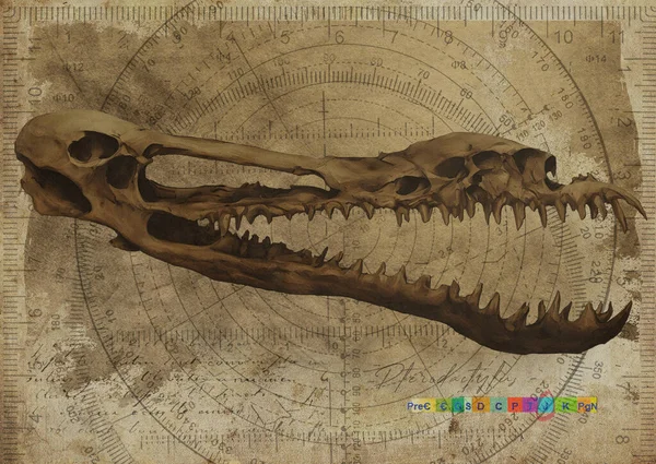 Pterodactylus Dinosaur Skull Art Study Old Textured Paper Vintage Geometrical Poster Digital Art By Winters860
