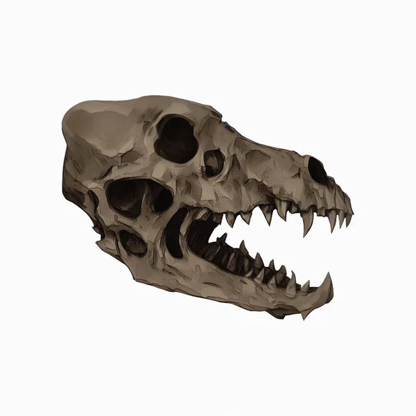 Direwolf Skull Fossil Digital Art Winters860 — Stock Photo, Image