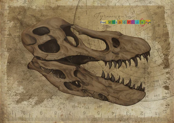 Tyrannosaurus T Rex Dinosaur Skull Art Study Old Textured Paper Vintage Antique Geometrical Digital Art By Winters860