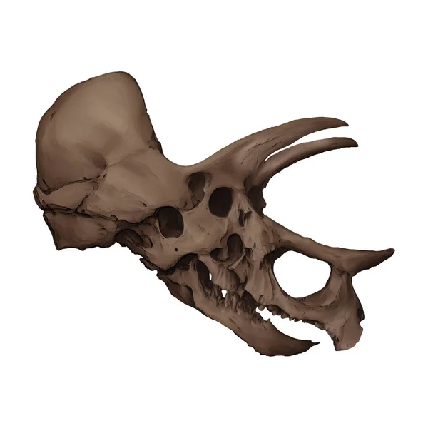 Triceratops Skull Fossil Digital Art Winters860 — Stock Photo, Image