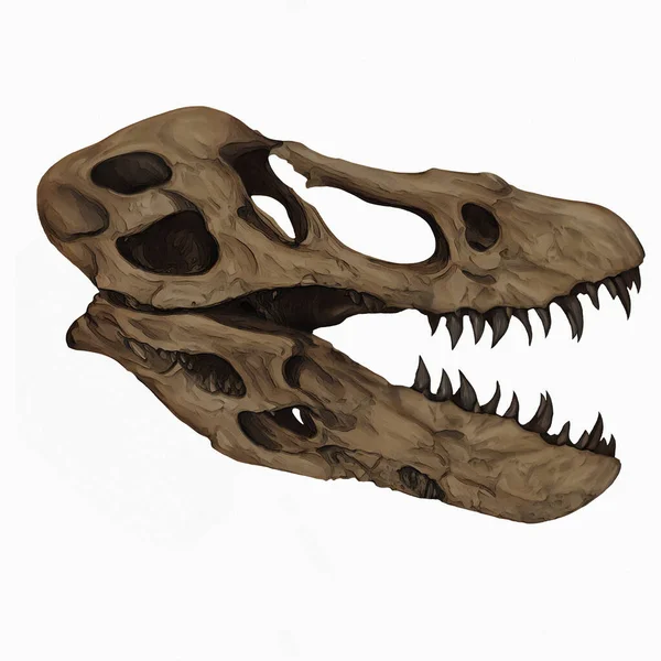Tyrannosaurus Rex Skull Fossil Digital Art Winters860 — Stock Photo, Image