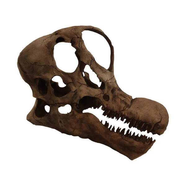 Brachiosaurus Dinosaur Skull Digital Art Winters860 Isolated Transparent Background — Stock Photo, Image