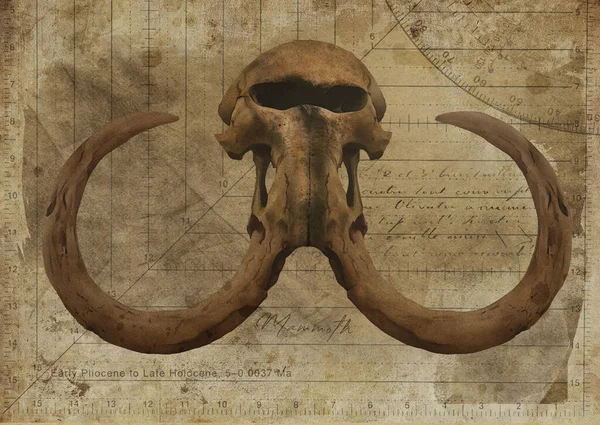 Mammoth Extinct Elephantid Skull Art Study Old Textured Paper Vintage — Stock Photo, Image