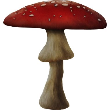  Kış 860 'tan Çeşitli Mantar Mantar Koleksiyonu Dijital Sanatı