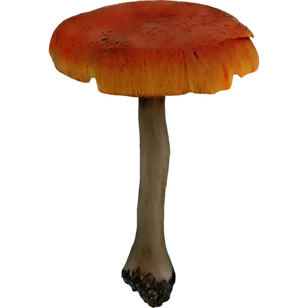 不同的蘑菇菌种收集冬季数码艺术860 — 图库照片