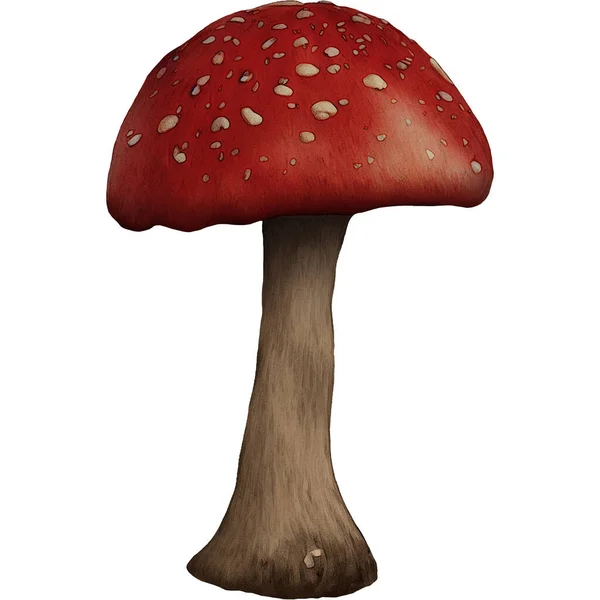 Small Red Mushroom Fungus Variant Digital Art Winters860 — Stock Photo, Image