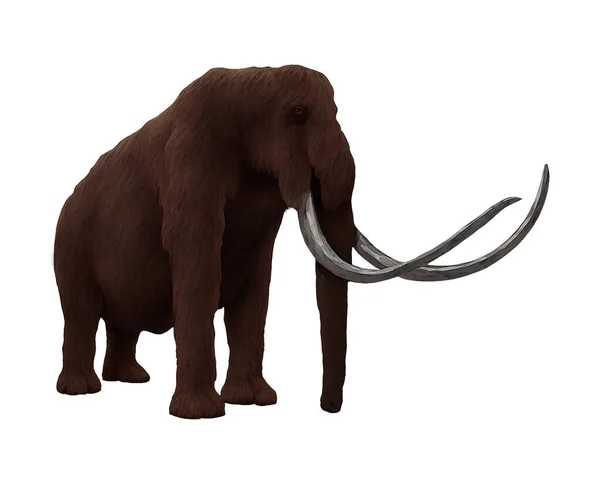 Woolly Mammoth Standing Ice Age Digital Art Winters860 Isolerad Transparent Stockbild