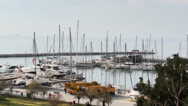 Boats Harbor Variation — стоковое видео