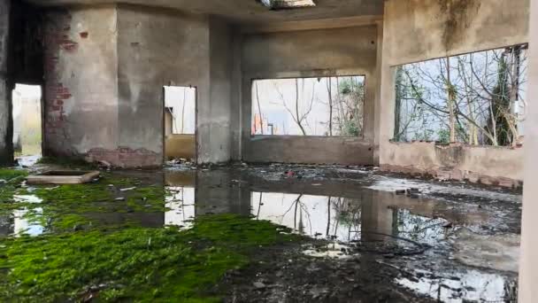Затоплена Покинута Фабрична Зала Наповнена Водою Зеленим Мохом — стокове відео