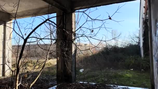 Abandoned Factory Reclaimed Nature — Video Stock