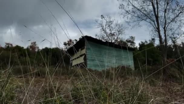 Abandoned Wooden Shack Tall Grass Blowing Wind — Wideo stockowe