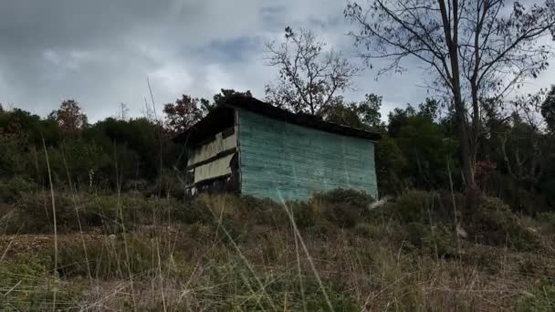 Abandoned Wooden Shack Tall Grass Blowing Wind — 图库视频影像