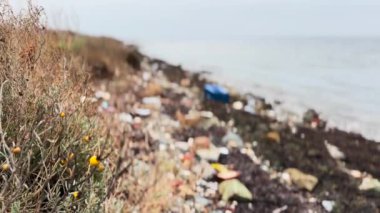 City Outskirts Beach Filled With Washed Up Garbage 