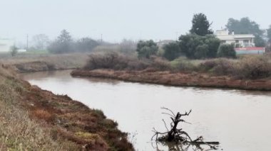 Polluted City River, Winter Gloomy Day  