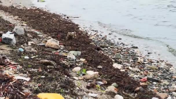 Playa Contaminada Las Afueras Ciudad — Vídeos de Stock
