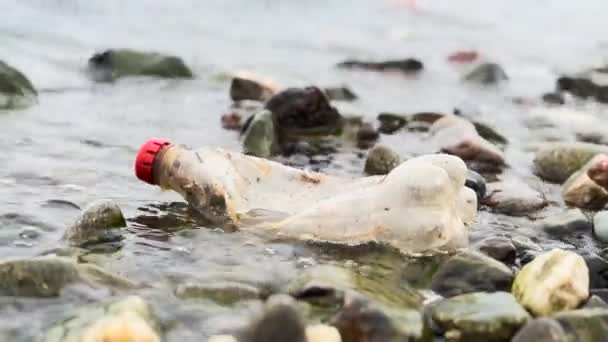 Botella Plástico Lavada Playa — Vídeos de Stock