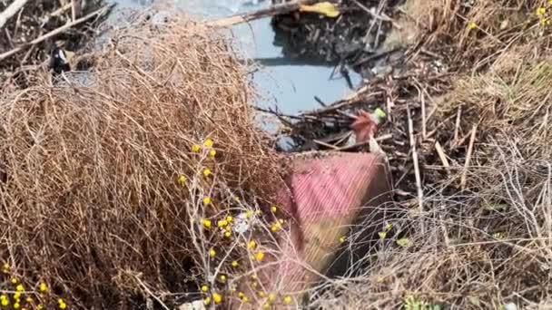 City Outskirts Beach Filled Garbage — стокове відео