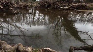 Shallow, Fast Moving Water Stream, Over Tall River Grass Winter Gloomy Day 