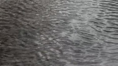 Sığ Su Dalgalanmaları, Doğa Kış Kasvetli Gününü Detaylandırdı 