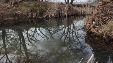 Peaceful Marshland Landscape, Winter Gloomy Day 2