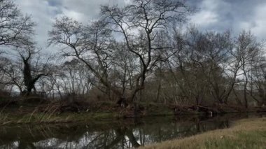 Peaceful Marshland Landscape, Winter Gloomy Day Water Reflections Of Trees 