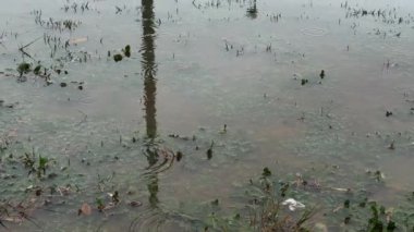 Flooded Park 2 , Gloomy Rainy Day Water Reflections 