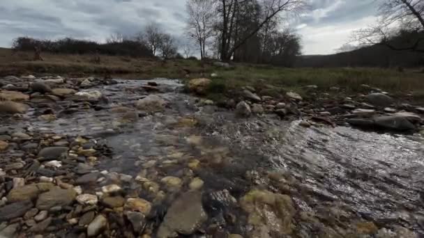 Shallow Fast Moving Water Stream River Stones Winter Gloomy Day — Stock video