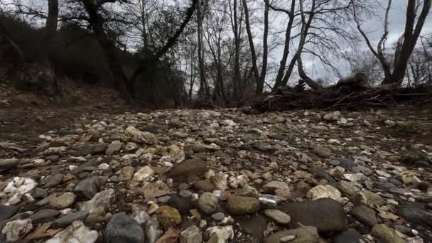 川の石の上を歩く 川床の冬の栄光の日を乾燥 — ストック動画
