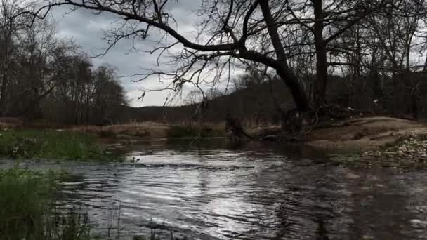 Relaxing Marshland Scenery Shallow Fast Moving Water Stream Winter Gloomy — Vídeo de Stock
