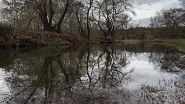 Peaceful Marshland Landscape Winter Gloomy Day — Stockvideo