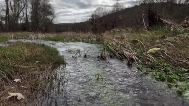 Płytki Szybko Poruszający Się Strumień Wody Nad Rzeką Trawa Zimowy — Wideo stockowe