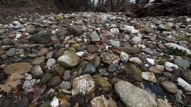 Rzeczne Kamienie Wyschnięte Koryto Rzeki Zimowy Ponury Dzień — Wideo stockowe