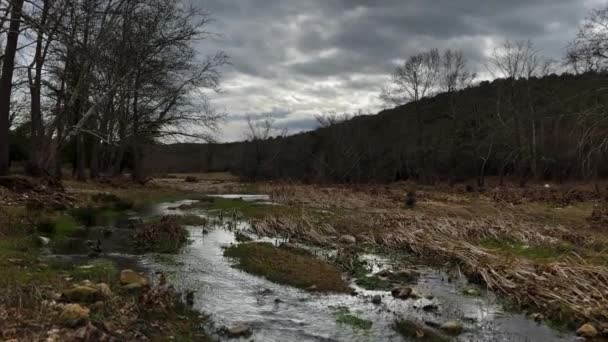 Beautiful Marshland Scenery Shallow Fast Moving Water Stream Winter Gloomy — Video Stock
