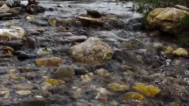 Płytki Szybko Poruszający Się Strumień Wody Nad Rzeką Kamienie Zimowy — Wideo stockowe