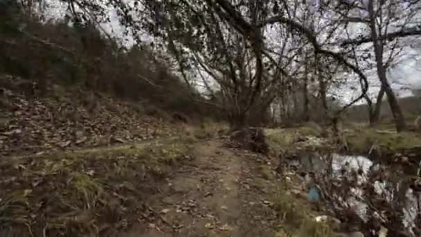 Taking Walk Marshland Path Winter Gloomy Day — Stockvideo