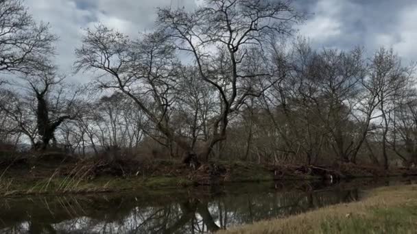 Huzurlu Bataklık Manzarası Kasvetli Kış Günü Ağaçların Yansımaları — Stok video