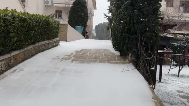 グリフォン マルタ犬が走り 雪の中で滑り カメラに向かって冬の雪の日 — ストック動画
