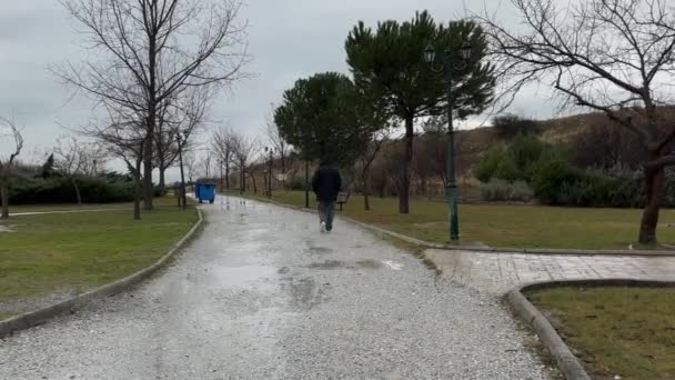Walk Park While Raining Man Wearing Hoodie Rainy Gloomy Day — 图库视频影像