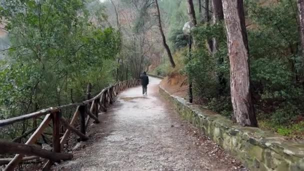 雨の中 森の中を歩くパーカーを着た男 栄光の日1 — ストック動画