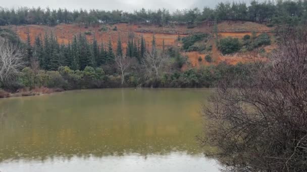 Water Flowing Dam Lake Forest Winter Gloomy Day — Wideo stockowe