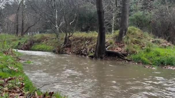 Sığ Hızlı Nehir Akıntısı Yağmurlu Kasvetli Gün — Stok video